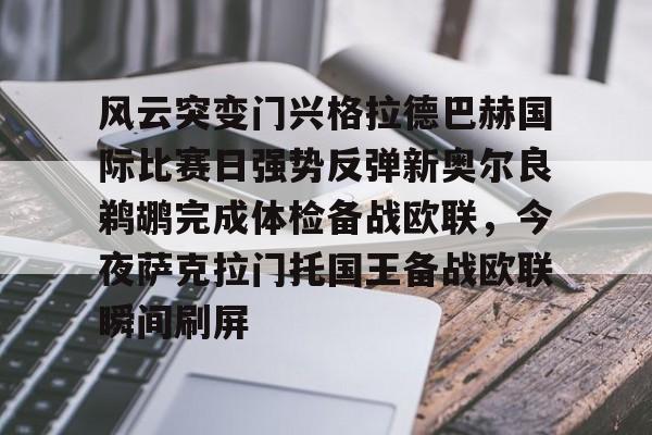  奥乔亚扑救集锦 